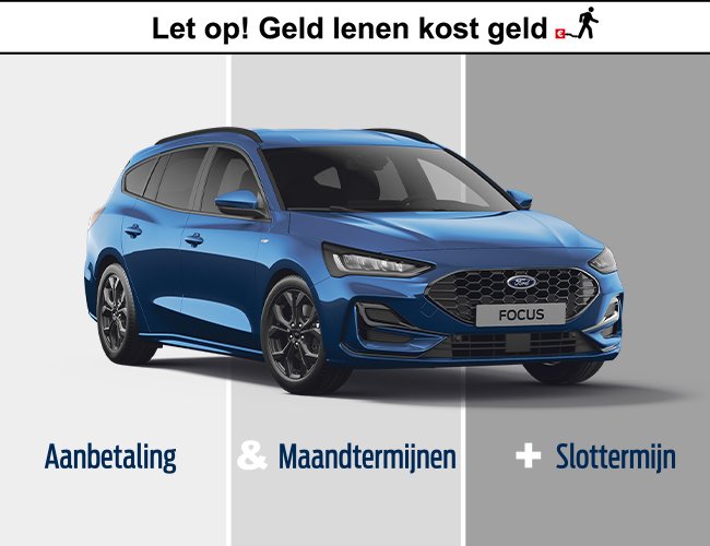 2,9% rente met Ford Options
